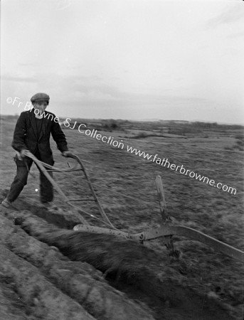 OLD WOODEN PLOUGH IN USE